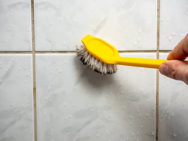 Trusted Oxford, AL Mold Remediation Experts